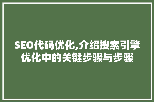 SEO代码优化,介绍搜索引擎优化中的关键步骤与步骤 网站优化