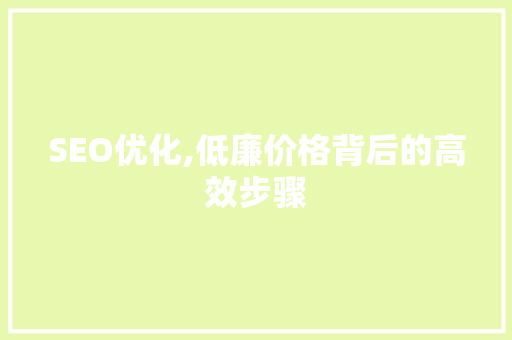 SEO优化,低廉价格背后的高效步骤 网站优化