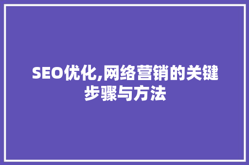 SEO优化,网络营销的关键步骤与方法 小程序开发