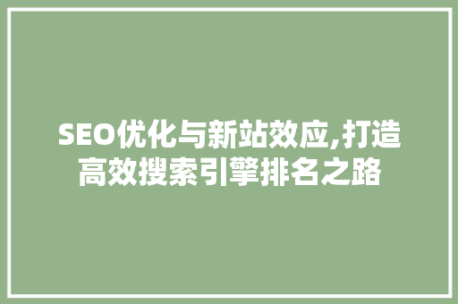 SEO优化与新站效应,打造高效搜索引擎排名之路