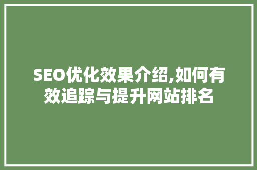 SEO优化效果介绍,如何有效追踪与提升网站排名 头条优化