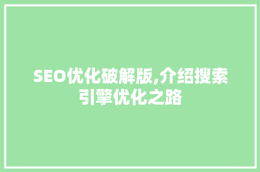 SEO优化破解版,介绍搜索引擎优化之路