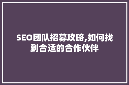 SEO团队招募攻略,如何找到合适的合作伙伴
