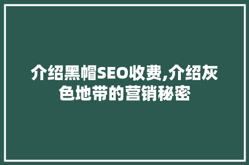 介绍黑帽SEO收费,介绍灰色地带的营销秘密