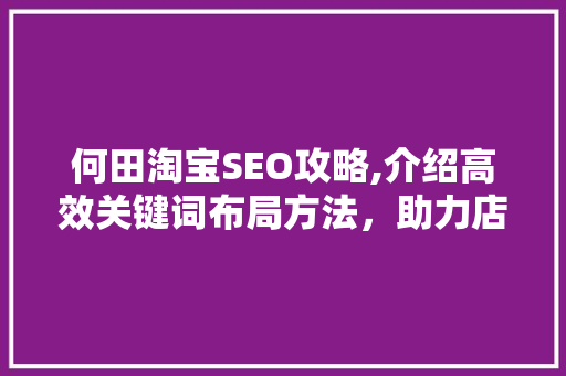 何田淘宝SEO攻略,介绍高效关键词布局方法，助力店铺流量翻倍！
