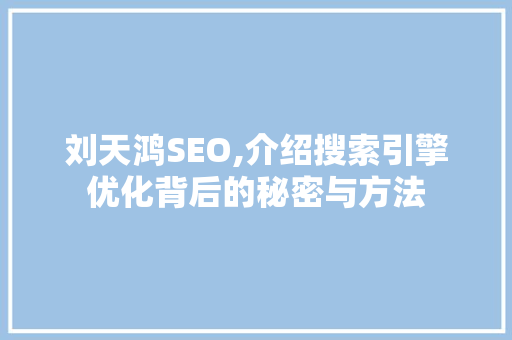 刘天鸿SEO,介绍搜索引擎优化背后的秘密与方法