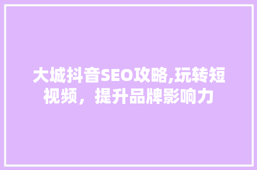 大城抖音SEO攻略,玩转短视频，提升品牌影响力