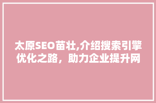 太原SEO苗壮,介绍搜索引擎优化之路，助力企业提升网络竞争力