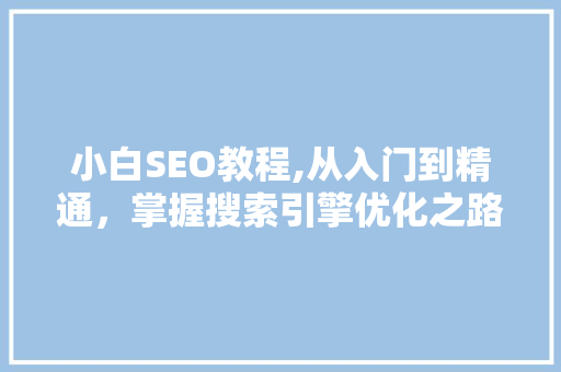 小白SEO教程,从入门到精通，掌握搜索引擎优化之路