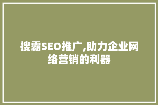 搜霸SEO推广,助力企业网络营销的利器 网站优化
