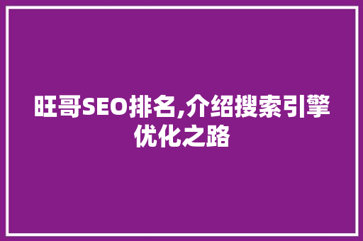旺哥SEO排名,介绍搜索引擎优化之路