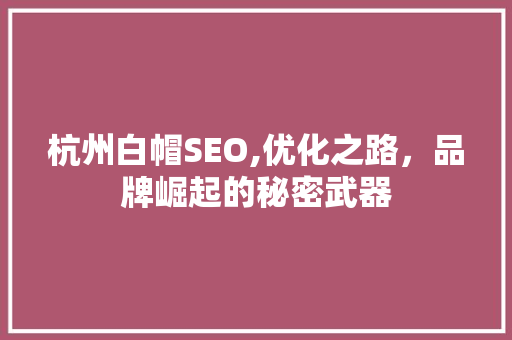 杭州白帽SEO,优化之路，品牌崛起的秘密武器