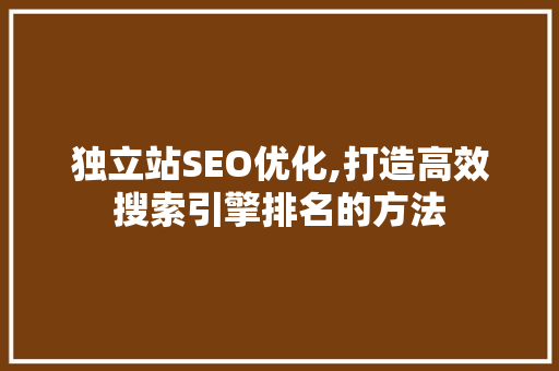 独立站SEO优化,打造高效搜索引擎排名的方法 seo技术