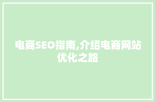 电商SEO指南,介绍电商网站优化之路