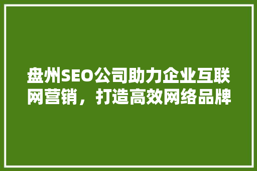 盘州SEO公司助力企业互联网营销，打造高效网络品牌形象 AI技术学习
