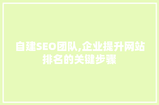 自建SEO团队,企业提升网站排名的关键步骤