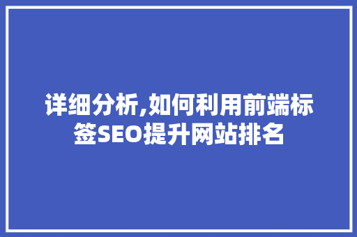 详细分析,如何利用前端标签SEO提升网站排名