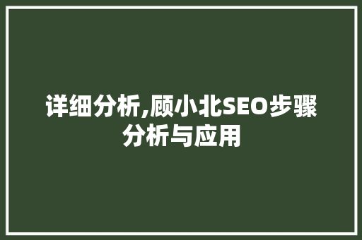 详细分析,顾小北SEO步骤分析与应用 网站优化