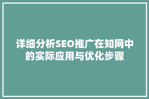 详细分析SEO推广在知网中的实际应用与优化步骤 网站开发