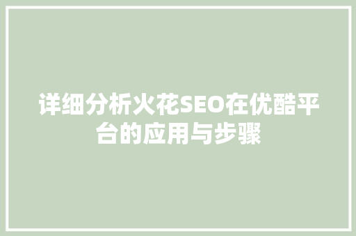 详细分析火花SEO在优酷平台的应用与步骤 网站优化