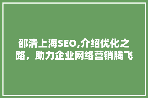 邵清上海SEO,介绍优化之路，助力企业网络营销腾飞 网站开发