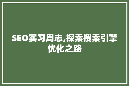 SEO实习周志,探索搜索引擎优化之路