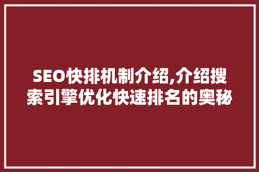 SEO快排机制介绍,介绍搜索引擎优化快速排名的奥秘