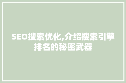 SEO搜索优化,介绍搜索引擎排名的秘密武器