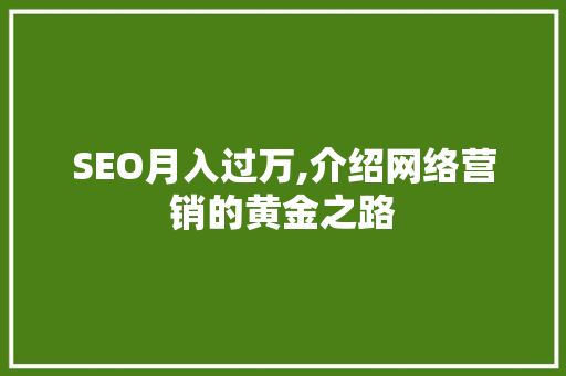 SEO月入过万,介绍网络营销的黄金之路 seo技术