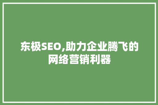 东极SEO,助力企业腾飞的网络营销利器