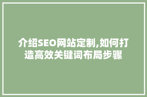 介绍SEO网站定制,如何打造高效关键词布局步骤