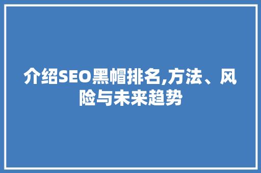 介绍SEO黑帽排名,方法、风险与未来趋势
