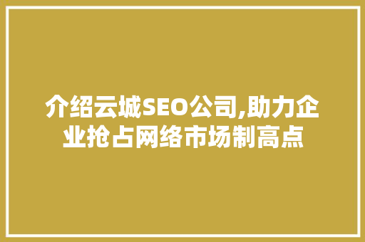 介绍云城SEO公司,助力企业抢占网络市场制高点