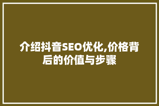介绍抖音SEO优化,价格背后的价值与步骤