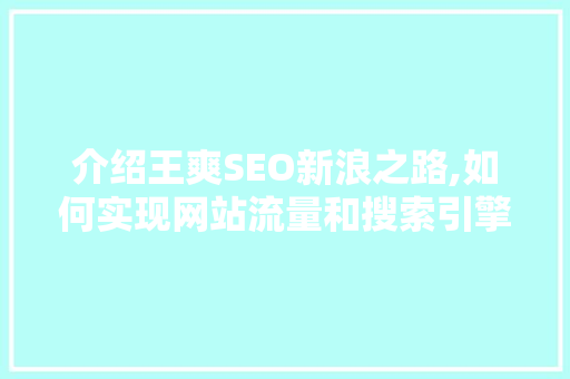 介绍王爽SEO新浪之路,如何实现网站流量和搜索引擎排名的双丰收