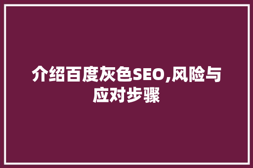 介绍百度灰色SEO,风险与应对步骤