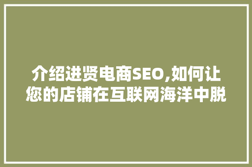 介绍进贤电商SEO,如何让您的店铺在互联网海洋中脱颖而出