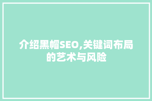 介绍黑帽SEO,关键词布局的艺术与风险