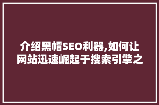 介绍黑帽SEO利器,如何让网站迅速崛起于搜索引擎之巅