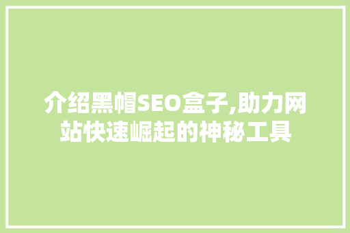 介绍黑帽SEO盒子,助力网站快速崛起的神秘工具