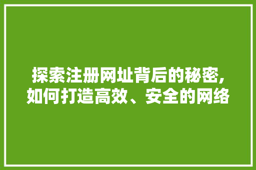 探索注册网址背后的秘密,如何打造高效、安全的网络环境