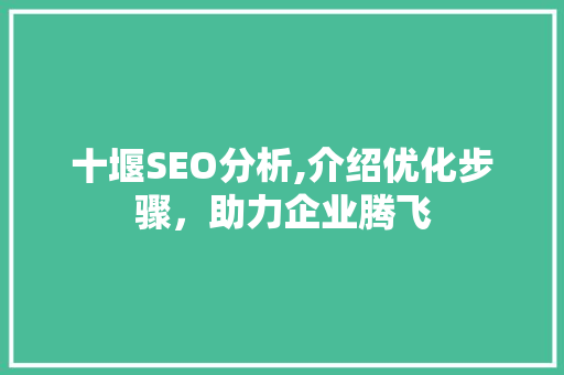 十堰SEO分析,介绍优化步骤，助力企业腾飞