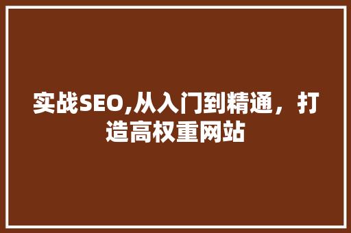 实战SEO,从入门到精通，打造高权重网站