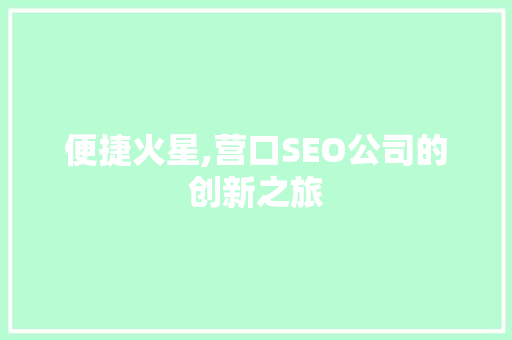 便捷火星,营口SEO公司的创新之旅 小程序开发