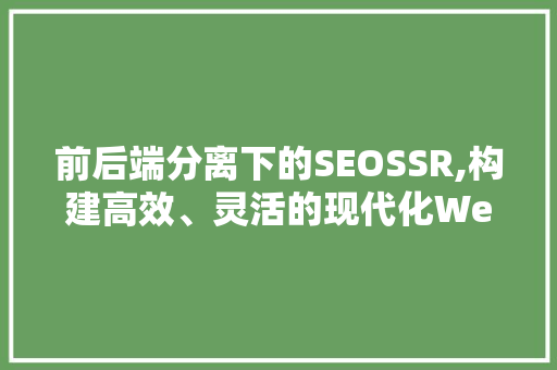 前后端分离下的SEOSSR,构建高效、灵活的现代化Web应用