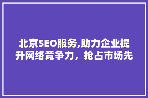 北京SEO服务,助力企业提升网络竞争力，抢占市场先机