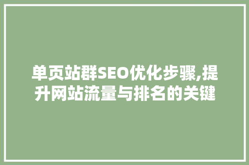 单页站群SEO优化步骤,提升网站流量与排名的关键