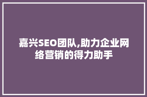 嘉兴SEO团队,助力企业网络营销的得力助手