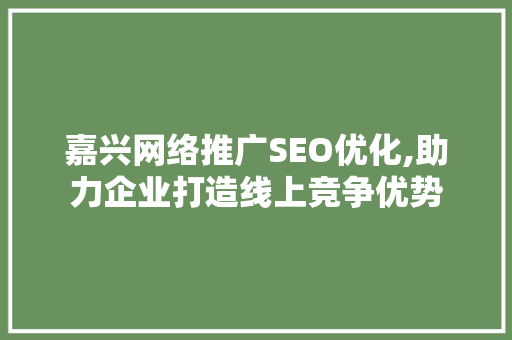 嘉兴网络推广SEO优化,助力企业打造线上竞争优势