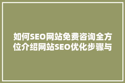 如何SEO网站免费咨询全方位介绍网站SEO优化步骤与方法 seo技术